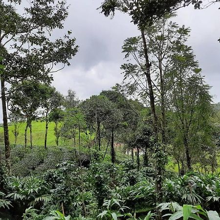 Farmstay In ചില്ലുകൂടാരം At Les Domki Et Al. Vagamon Bagian luar foto
