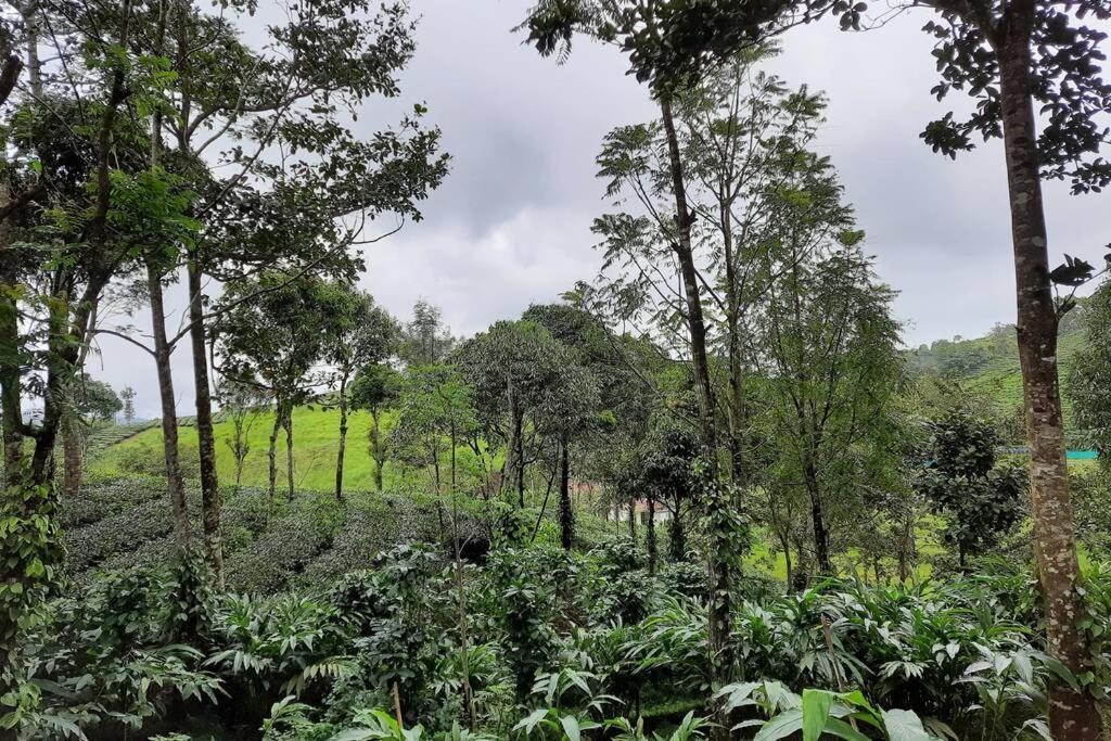 Farmstay In ചില്ലുകൂടാരം At Les Domki Et Al. Vagamon Bagian luar foto