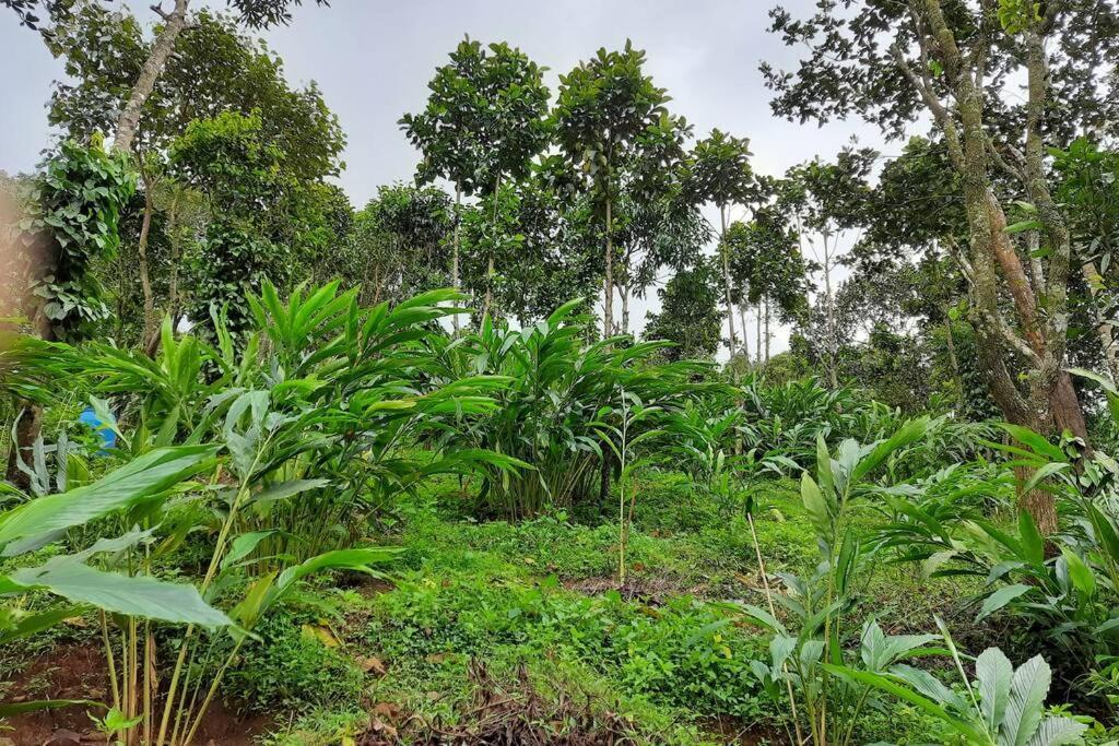 Farmstay In ചില്ലുകൂടാരം At Les Domki Et Al. Vagamon Bagian luar foto