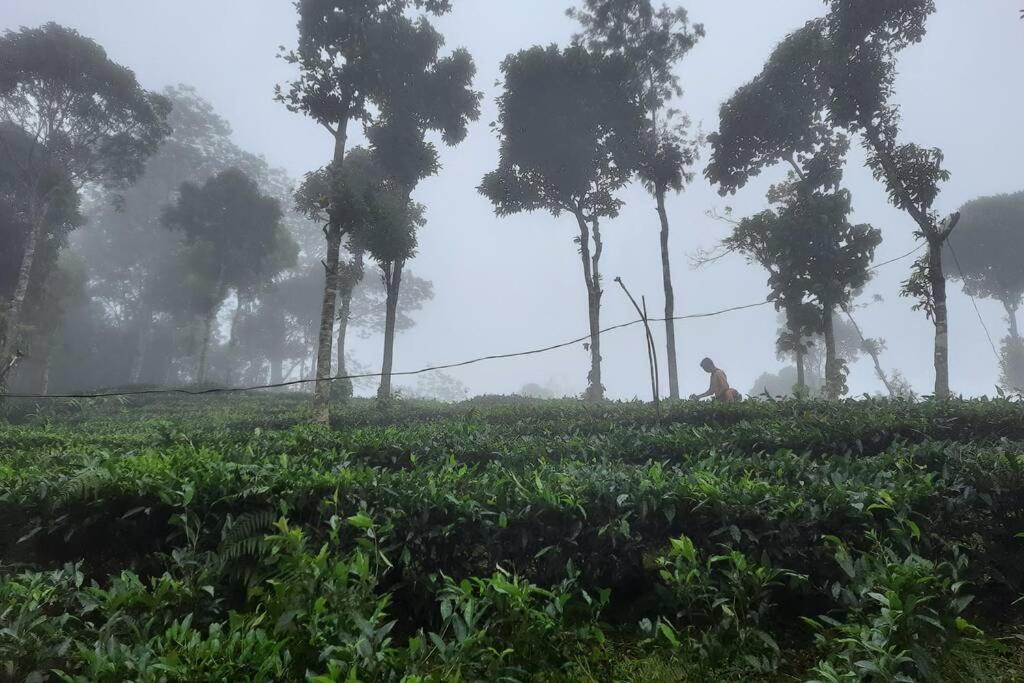 Farmstay In ചില്ലുകൂടാരം At Les Domki Et Al. Vagamon Bagian luar foto